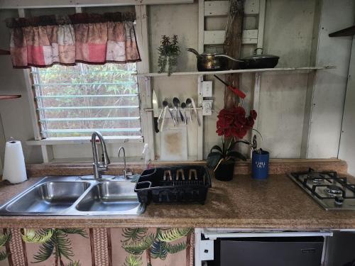 Gallery image of Cabin 2-Rustic private stay near Volcano National Park in Fern Forest