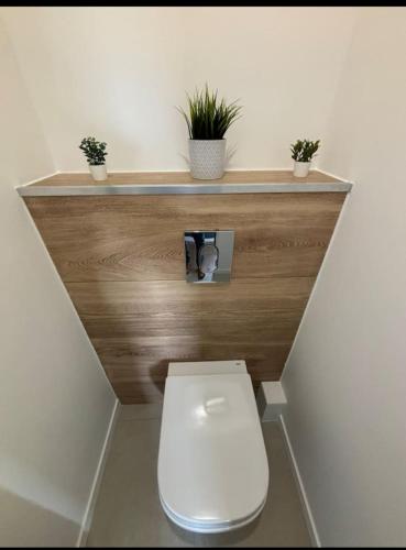 La salle de bains est pourvue de toilettes, d'un comptoir et de plantes. dans l'établissement Union SM, à Villeneuve-Saint-Georges