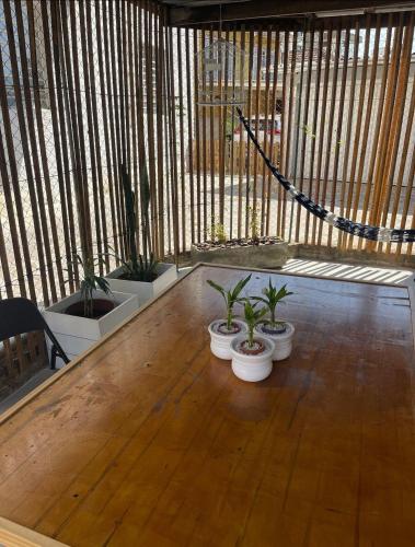 a room with three potted plants on a wooden floor at Prédio Histórico na Rio Branco in Caxias do Sul