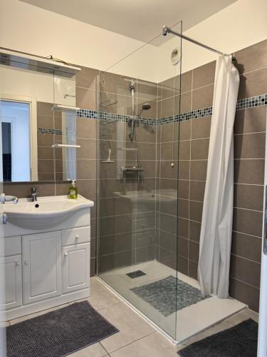 une salle de bain avec douche et lavabo dans l'établissement T3 Vue sur le port, à Ajaccio
