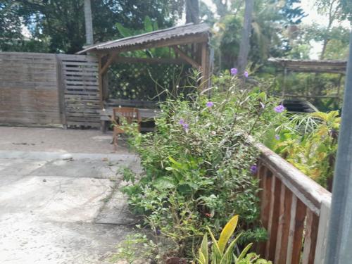 Zahrada ubytování Escapade Creole Maison Rustique avec accès à la plage à la Baie du Moule