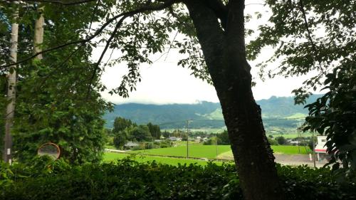 a view of a green field with a tree at 白水温泉竹の倉山荘 in Minami Aso