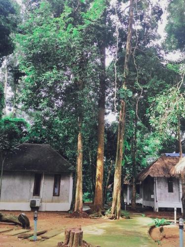 a house in the middle of a forest with trees at Villa Allure Koh Mak in Ko Mak