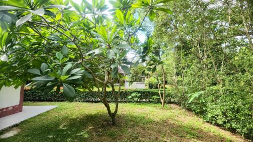 Giardino di Natura Ravee Greenstay เนเชอร่า ระวี กรีนสเตย์