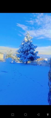 a christmas tree in the middle of a snow covered field at Lovely 1 bedroom condo with majestic views in Bhurban