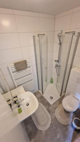 a bathroom with a sink and a shower and a toilet at A&Z Apartment Siegl in Bad Aussee