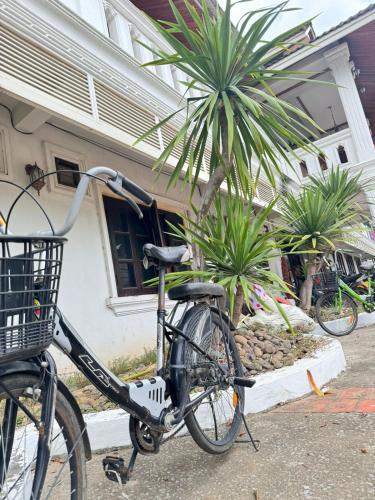 a bike parked in front of a house with a palm tree at ShuYa Hotel 舒雅酒店 in Luang Prabang