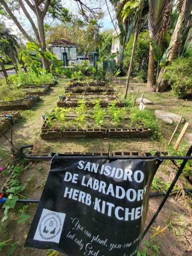 Zahrada ubytování Modern Barn House in Sariaya Quezon