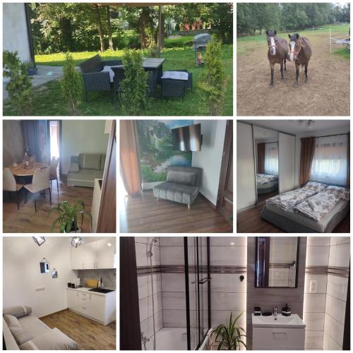 a collage of photos with a horse and a house at Apartament Leśna Przystań in Biały Dunajec
