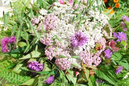 a bunch of purple and white flowers at Landhaus Notburga in Gries im Sellrain