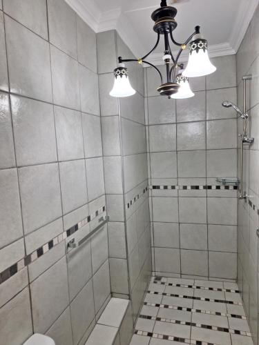 bagno con doccia e lampadario pendente di 21on2nd Avenue a Tzaneen