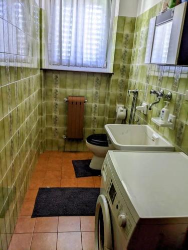 a bathroom with a toilet and a sink and a washing machine at Lakeview apartment in Pergine Valsugana