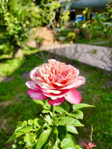 Giardino di Natura Ravee Greenstay เนเชอร่า ระวี กรีนสเตย์