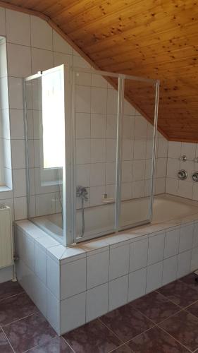a bathroom with a shower and a window in a room at Ferienwohnung Schwarz in Gasseldorf