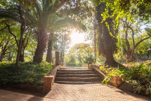 a set of stairs in a park with trees at ATKV Buffelspoort in Rustenburg