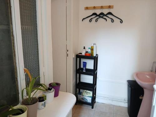 La salle de bains est pourvue d'un lavabo et d'une étagère avec des plantes. dans l'établissement La petite maison avec patio dans la cour, à Aubervilliers