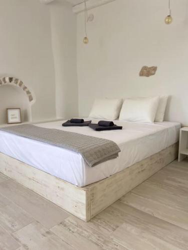 TCupStudios - Asteria