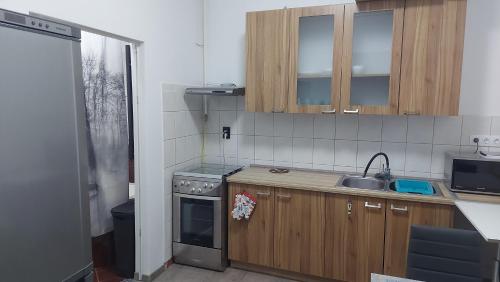 セゲドにあるThomas' Apartmanのシンクとコンロのあるキッチン
