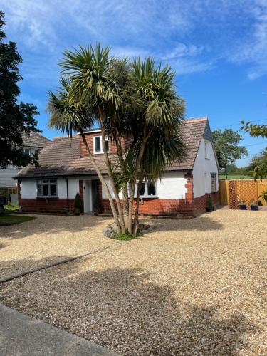 a palm tree in front of a house at Godden Green B & B Guesthouse in Newchurch