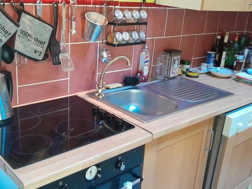 une cuisine avec un évier et un plan de travail dans l'établissement Maison cosy à la montagne, à La Chalp
