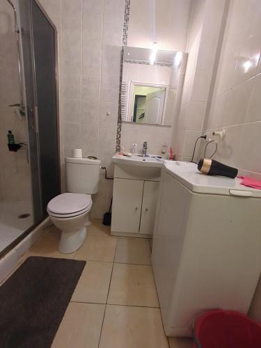 une salle de bain avec toilettes, lavabo et miroir dans l'établissement Nature Shot - DisneyLand Roissy, à Chauconin