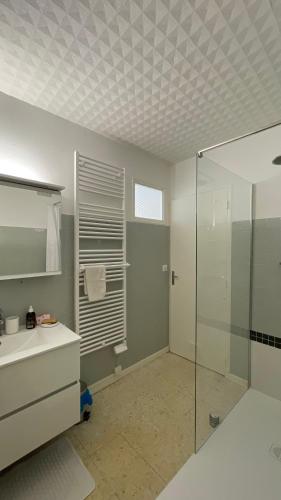 une salle de bain avec une douche en verre et un lavabo dans l'établissement Chez Mi-Chèle, à La Garde-Adhémar