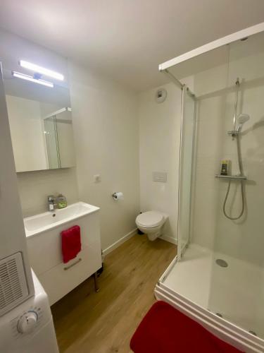 une salle de bain avec une douche, des toilettes et un lavabo dans l'établissement Logement entier - Vieux Tours - Centre - 3 chambres, à Tours