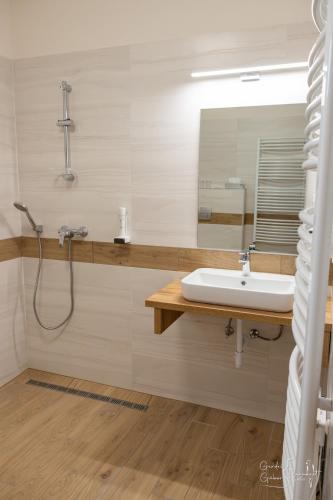 a bathroom with a sink and a mirror at Ludvig Panzió in Villány