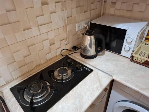 Kuhinja ili čajna kuhinja u objektu Hasmik Apartment