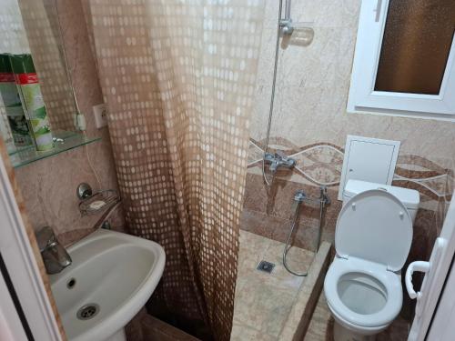Hasmik Apartment tesisinde bir banyo