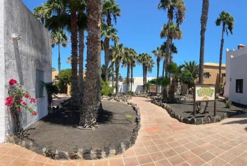 Φωτογραφία από το άλμπουμ του Apartamentos GALA σε Corralejo