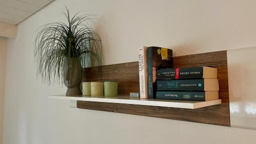 a shelf with books and a potted plant on a wall at Ferienwohnung Anita in Knetzgau