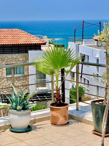a group of potted plants sitting on a balcony at Boho Bay Apartment in Akanthou