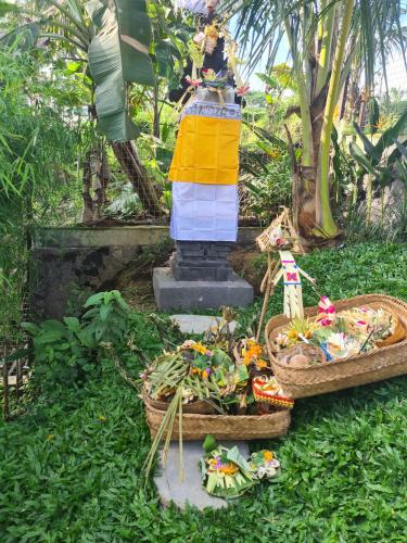 Сад в Rumah Guci