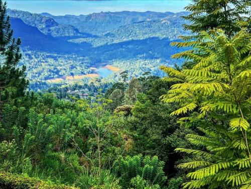 a view of a valley with trees and a river at 4154ft in ramboda in Ramboda