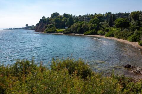 Billede fra billedgalleriet på Luna Bay i Amarynthos