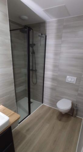 une salle de bain avec une douche avec des toilettes et un lavabo dans l'établissement Sur la rive du Lac, à Orbey