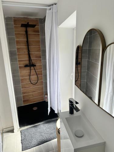 a bathroom with a shower with a sink and a mirror at Magnifique deux pièces au cœur de espaly Saint-Marcel in Espaly-Saint-Marcel