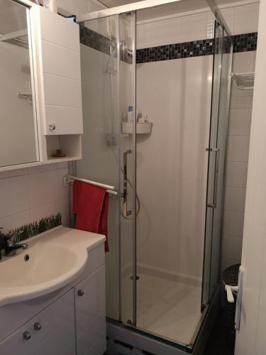 une salle de bain avec douche et lavabo dans l'établissement Chambre dans beau T3 très proche centre ville !, à Lorient