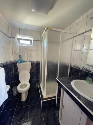 a bathroom with a toilet and a shower and a sink at Casa mãe in Lajes do Pico