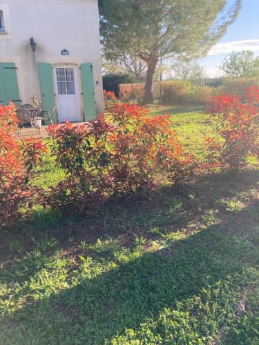 une maison avec des fleurs rouges devant une cour dans l'établissement Maisonnette 43m2 piscine Gallargues le montueux, à Gallargues-le-Montueux