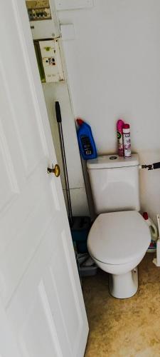 une salle de bain avec des toilettes blanches dans une chambre dans l'établissement Le Beau Site appartement chaleureux et lumineux tout a pieds, à Mont-Dore