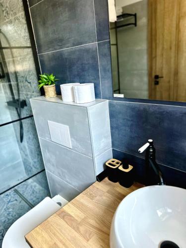 a bathroom with a sink and a toilet and a mirror at The Black Lodge in Sohodol