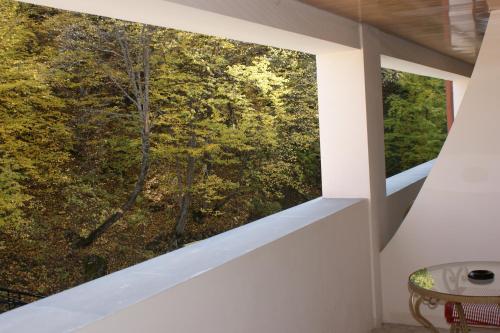 a room with white walls and a window with a view of the forest at Tsaghkahovit Hotel in Tsaghkadzor