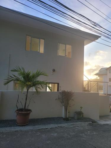 a white house with two plants in front of it at Sunset View Self Catering in Anse Boileau