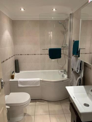 a bathroom with a tub and a toilet and a sink at One bed flat close to Exeter centre in Exeter