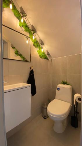 a bathroom with a toilet and a mirror and lights at Edelweiss in Lazeshchyna