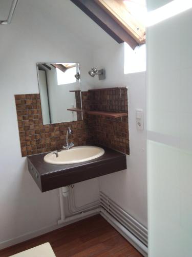 une salle de bain avec un lavabo et un miroir dans l'établissement Appartement 43m2 Bayonne, à Bayonne