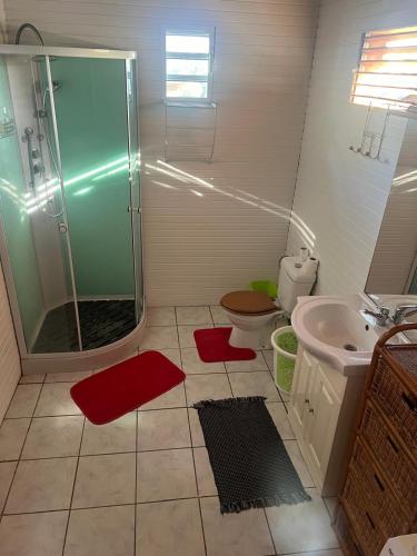 a bathroom with a shower and a toilet and a sink at Les Alpinias in Sainte-Anne
