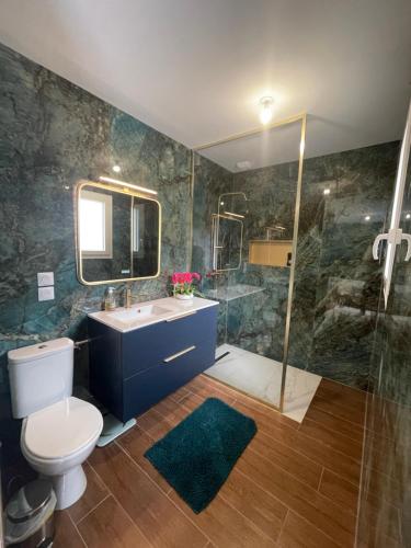 a bathroom with a toilet and a sink and a shower at chambre à la frontière in Jougne